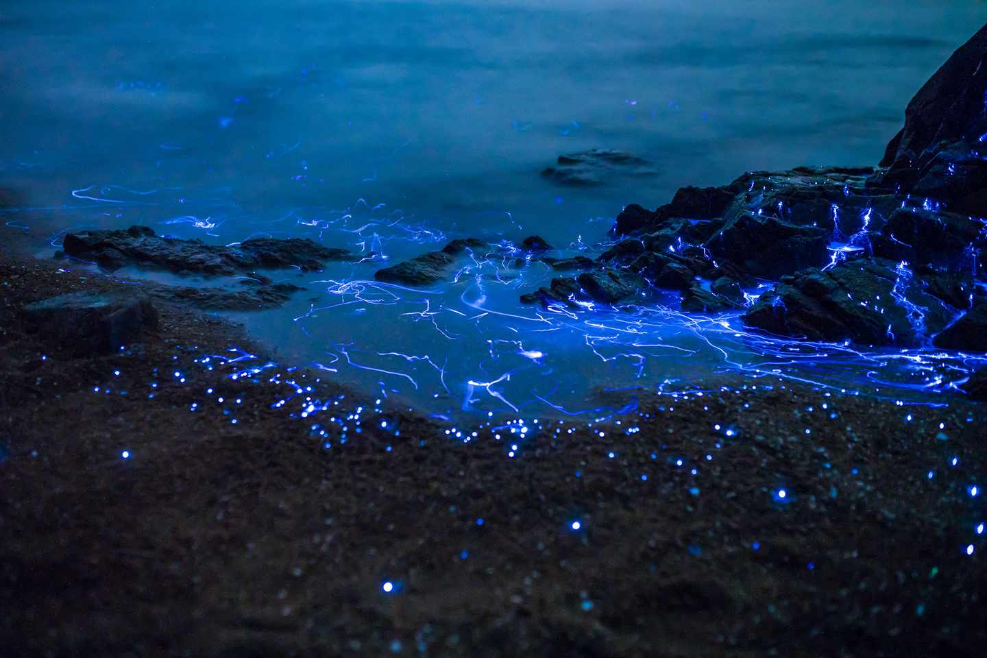 malediven-leuchtender-strand-und-meer-nahaufnahme-des-wassers-mit-den-leuchtenden-gluehwuermchen-g-590266294.jpg