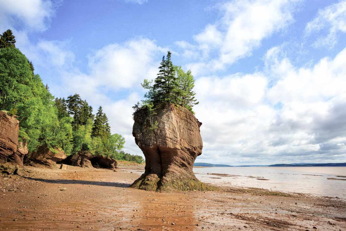 Felsenpfeiler mit Bäumen am Sandstrand bei Ebbe an der Bay of Fundy im Fundy National Park in New Brunswick