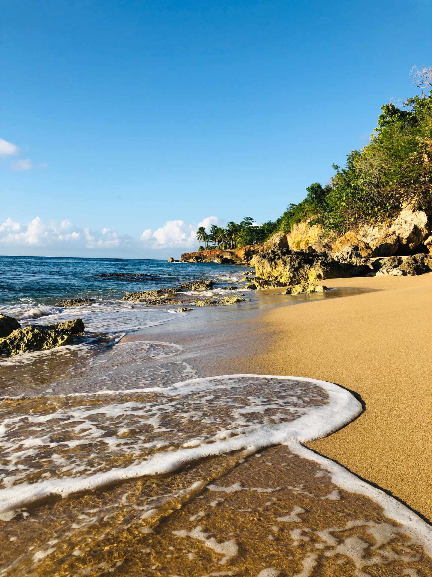 Ein goldfarbener Sandstrand mit Palmen im Hintergrund, während eine Welle mit kristallklarem Wasser an den Strand rollt
