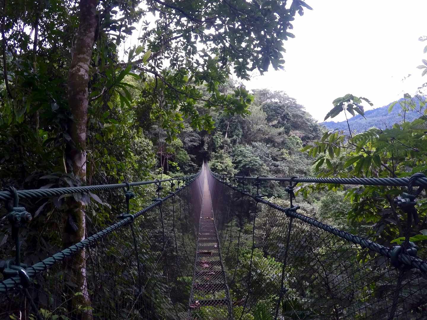 costa-rica-haengebruecke.jpg