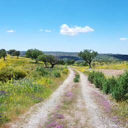 Hotel Alentejo