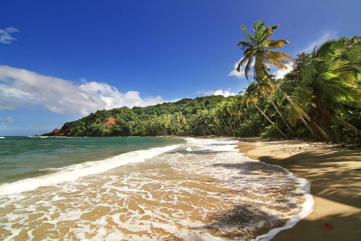 blt4c85a3222aad9053-dominica-strand-t-535228947.jpg dominica-strand-t-535228947.jpg