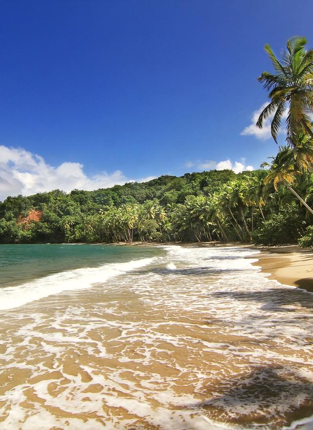 Mitarbeiter-Tipp Dominica