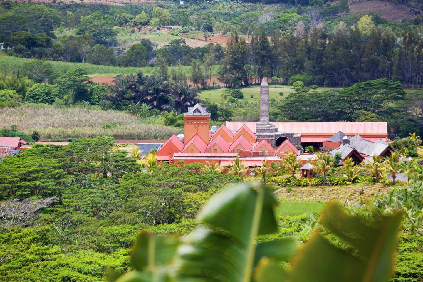 mauritius-rumfabrik-anlage-g-185301738.jpg