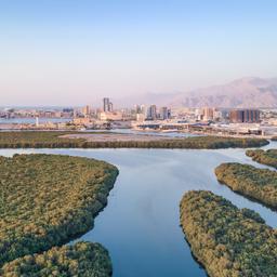 vae-rasalkhaimah-skylinemitmangroven-g-1272849094.jpg