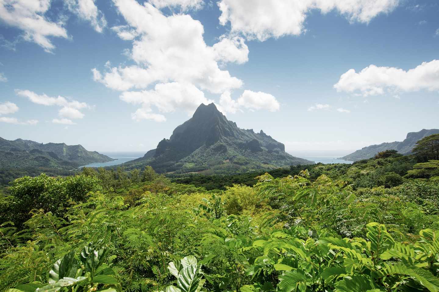 bltad1e9f6204184688-Franz_sische-Polynesien-Insel-Moorea-mit-Mount-Rotui-g-817782402.jpg Mount Rotui auf Moorea in Französisch Polynesien