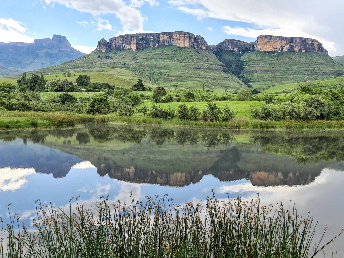 Grüne Berglandschaft der Drakensberge in Südafrika spiegelt sich in einem ruhigen See