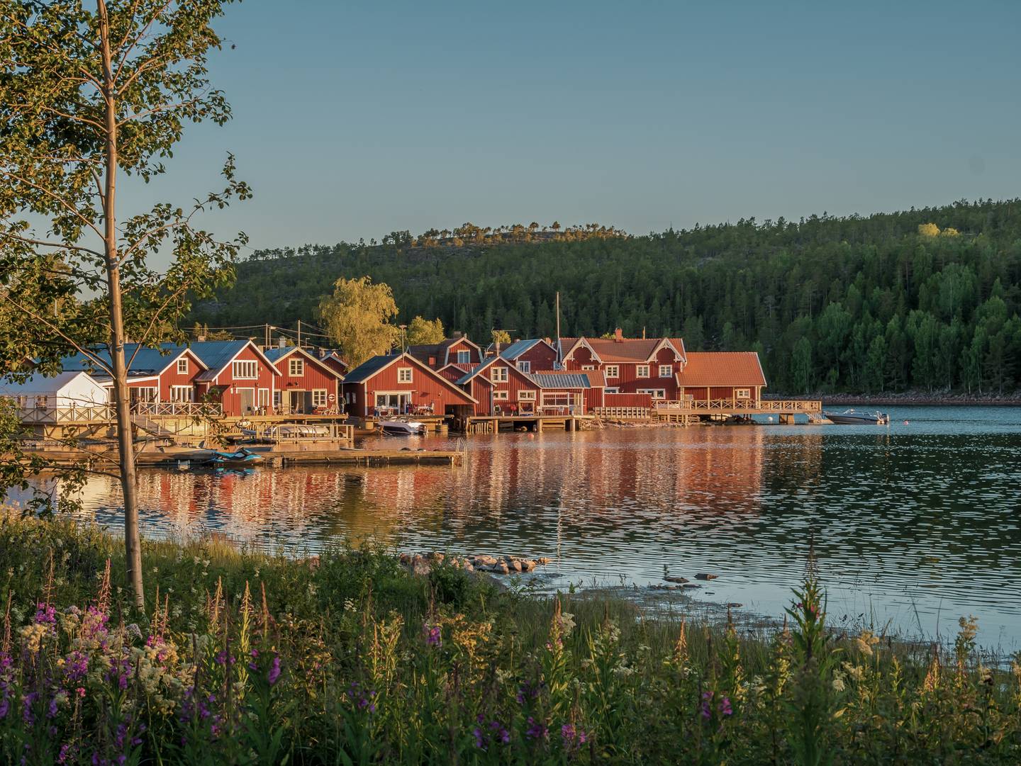 schweden-hoega-kusten-haeuser-schaeren-g-991130606.jpg