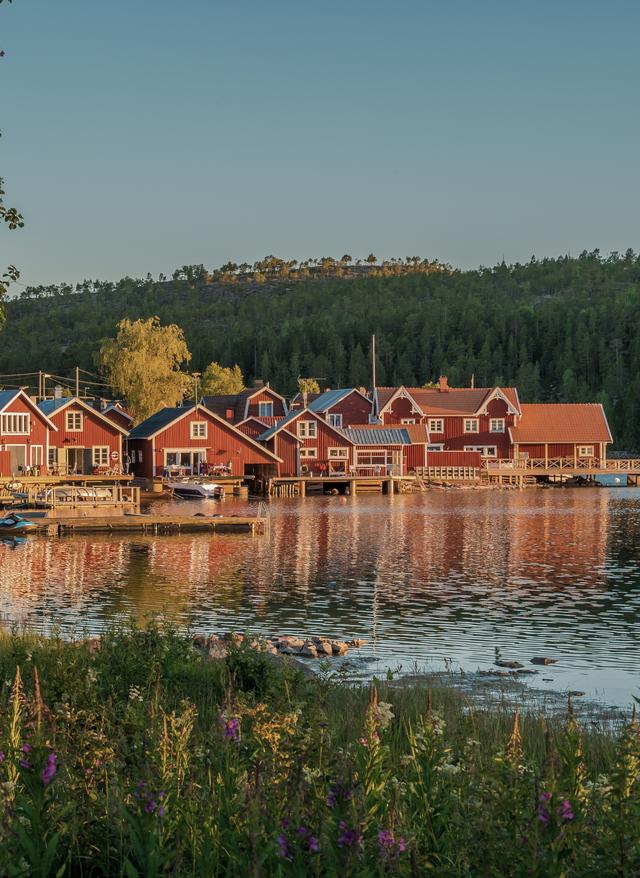 Schweden Urlaub schweden-hoega-kusten-haeuser-schaeren-g-991130606.jpg
