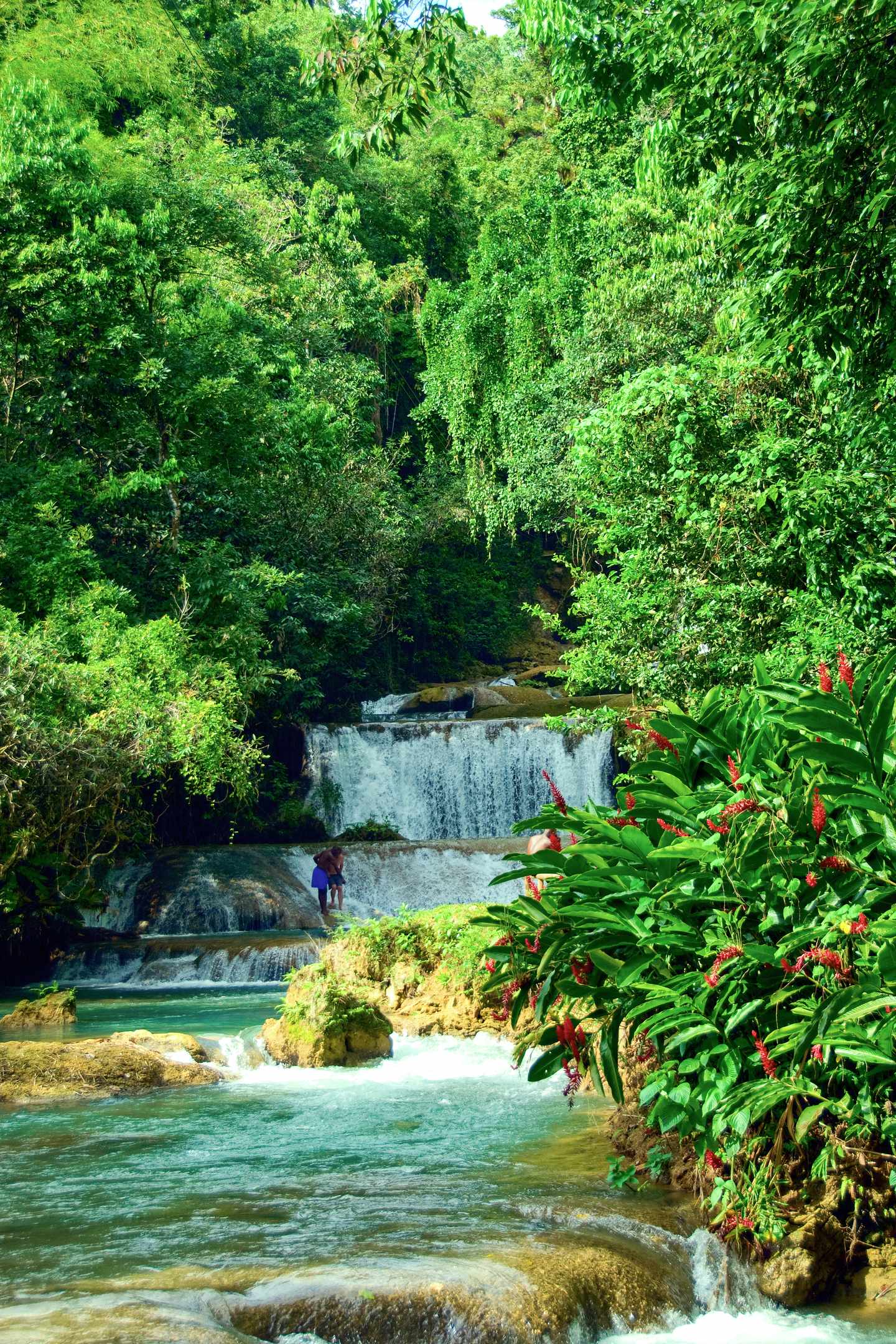 jamaika-wasserfall-und-wald-g-118319514.jpg Wasserfall im Grünen von Jamaika
