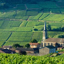 Hotels in Burgund