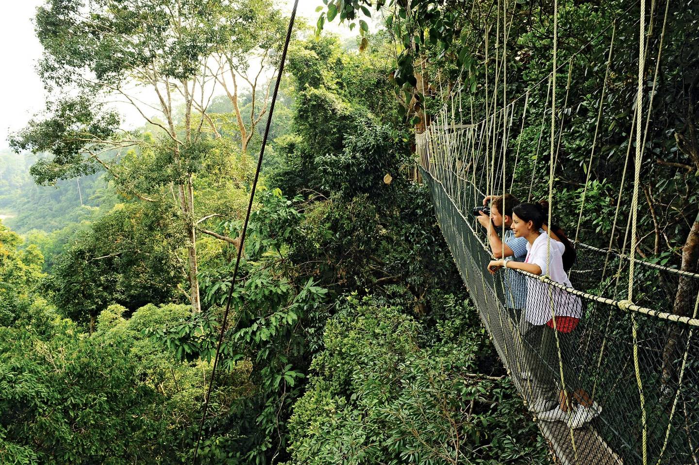 malaysia-national-park-pahang-f-katrin-kranz_2.jpg