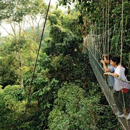 malaysia-national-park-pahang-f-katrin-kranz_2.jpg