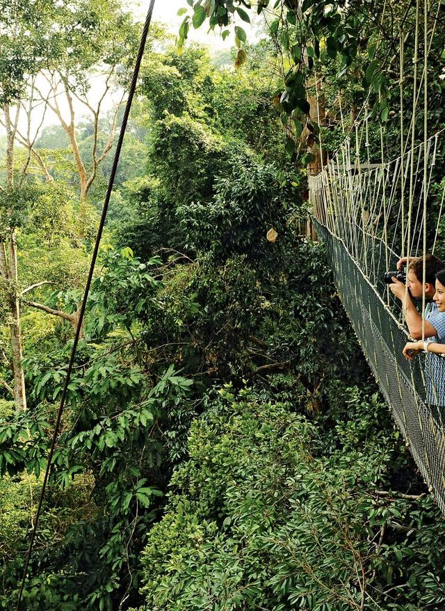 Malaysia Urlaub malaysia-national-park-pahang-f-katrin-kranz_2.jpg