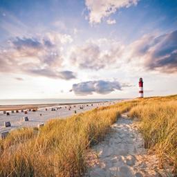 deutschland-amrum-leuchtturm-p-AC45621.jpg