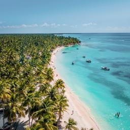 Karibik-Dominikanische-Republik-Saona-Luftaufnahme-Strand-g-1367536251.jpg