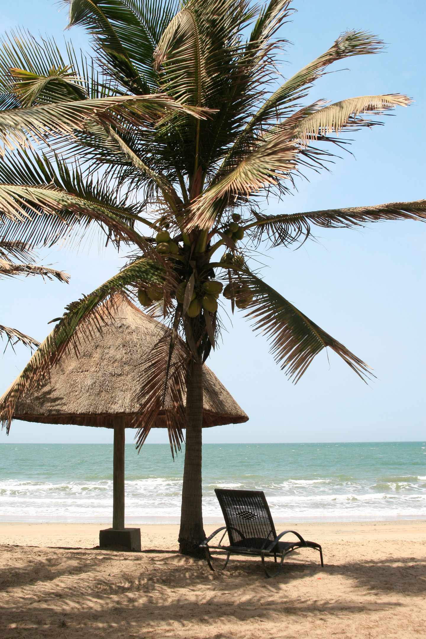 blt95c902cf2bd8cfa8-Gambia-Strand-mit-Kokospalme-g-485165353.jpg Strand mit Palme in Gambia