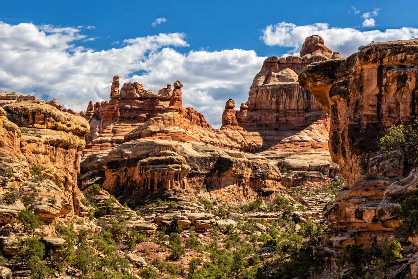 usa-utah-canyonlands-national-park-g-1299551363.jpg