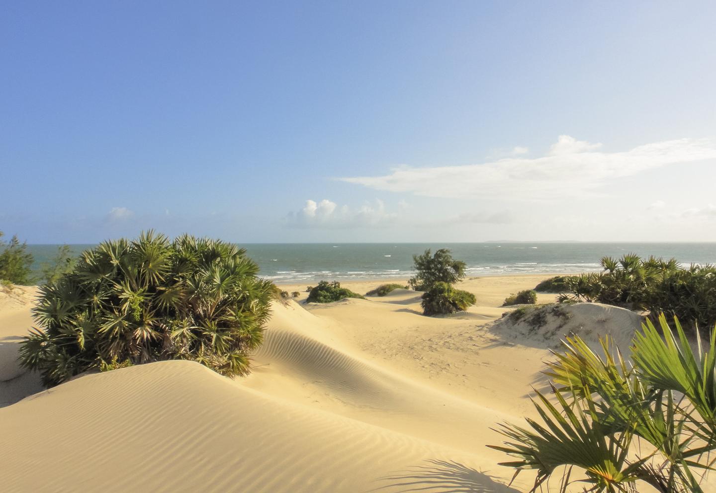 blt157898c47c9cd3ab-kenia-lamu-shela-beach-g-532057664.jpg kenia-lamu-shela-beach-g-532057664.jpg