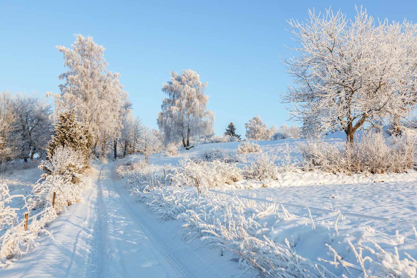 verschneite-winterlandschaft-mit-feldweg-g-1192668980.jpg