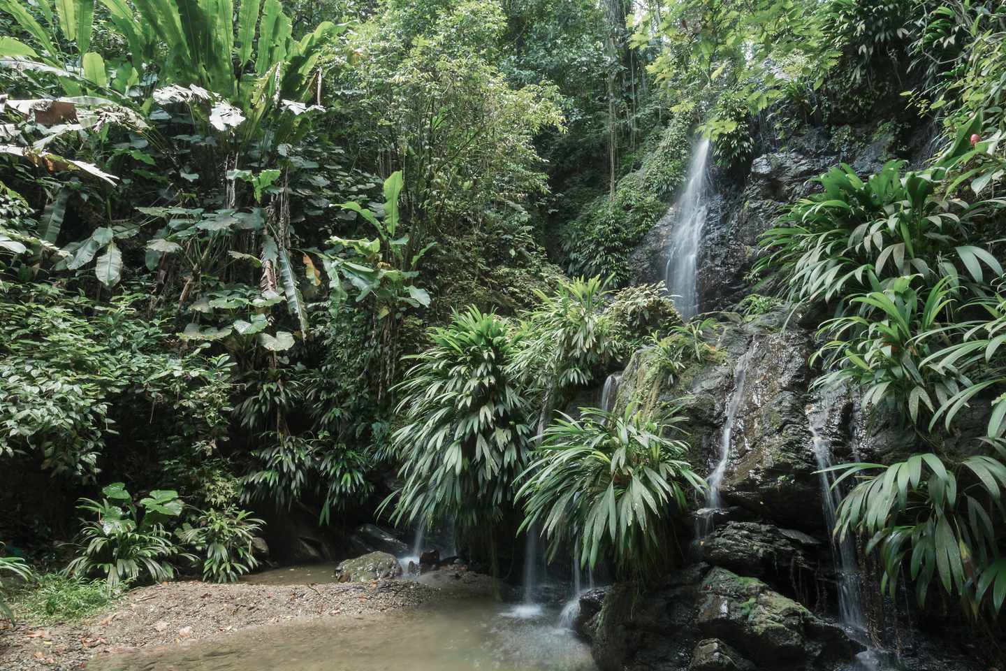 karibik-tobago-wasserfall-nordkueste-g-175263216.jpg