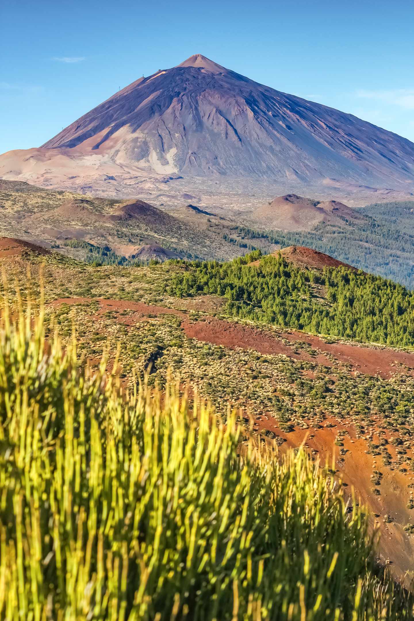 blte4ee0c0f30e28820-spanien-kanaren-teneriffa-teide-nationalpark-vulkan-teide-landschaft-g-1286795816.jpg Der Pico del Teide auf Teneriffa mit grüner und rotbrauner Landschaft im Vordergrund