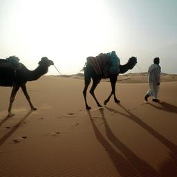 Hotels in den Vereinigten Arabischen Emiraten