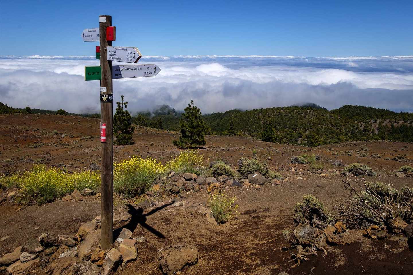 blt4967ed6cf079ec82-spain-la-palma-cumbre-vieja-wanderweg-wolken-g-655458628.jpg Kanaren cumbre vieja Wanderweg Wolken