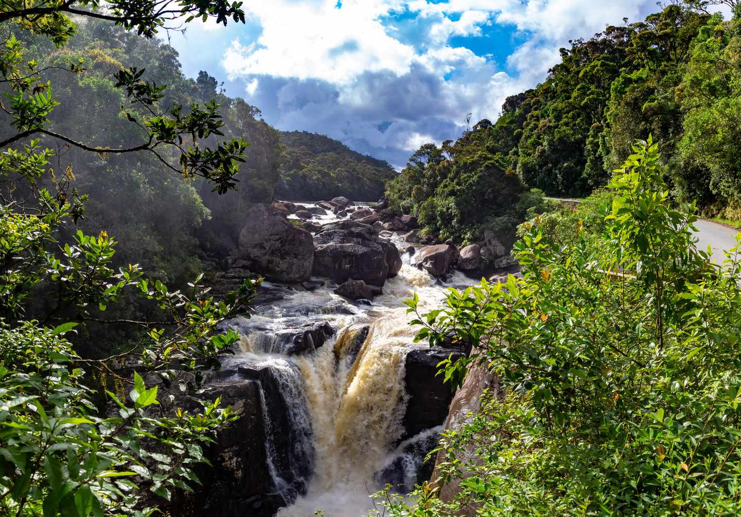 madagaskar-ranomafana-naturpark-klein-g-1220294282.jpg