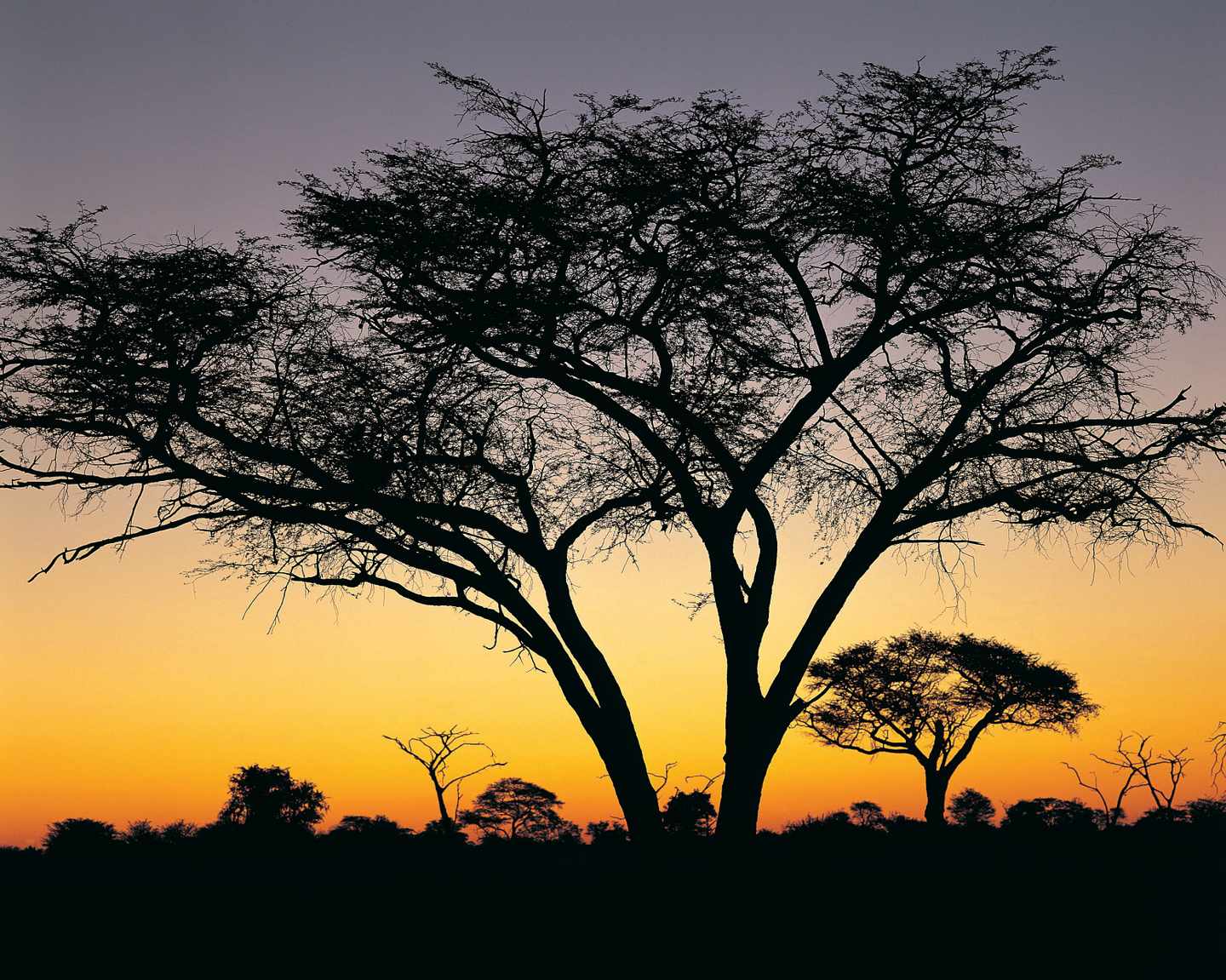 simbabwe-hwange-nationalpark-sonnenuntergang-t-dv031670.jpg