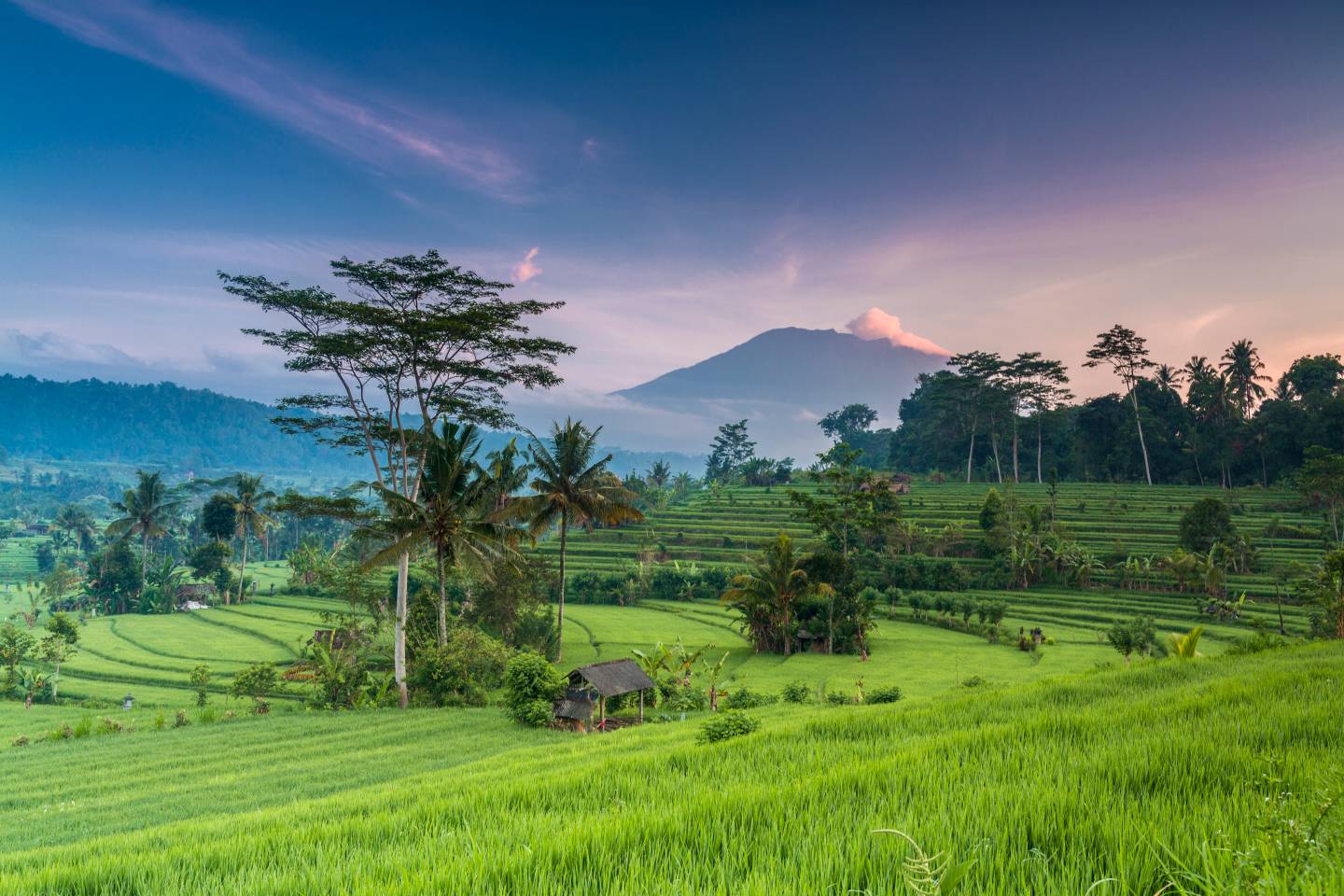 bltd11eba09193a5680-indonesien-bali-reisfeld-vulkan-agung--g-533226841.jpg indonesien-bali-reisfeld-vulkan-agung-g-533226841.jpg