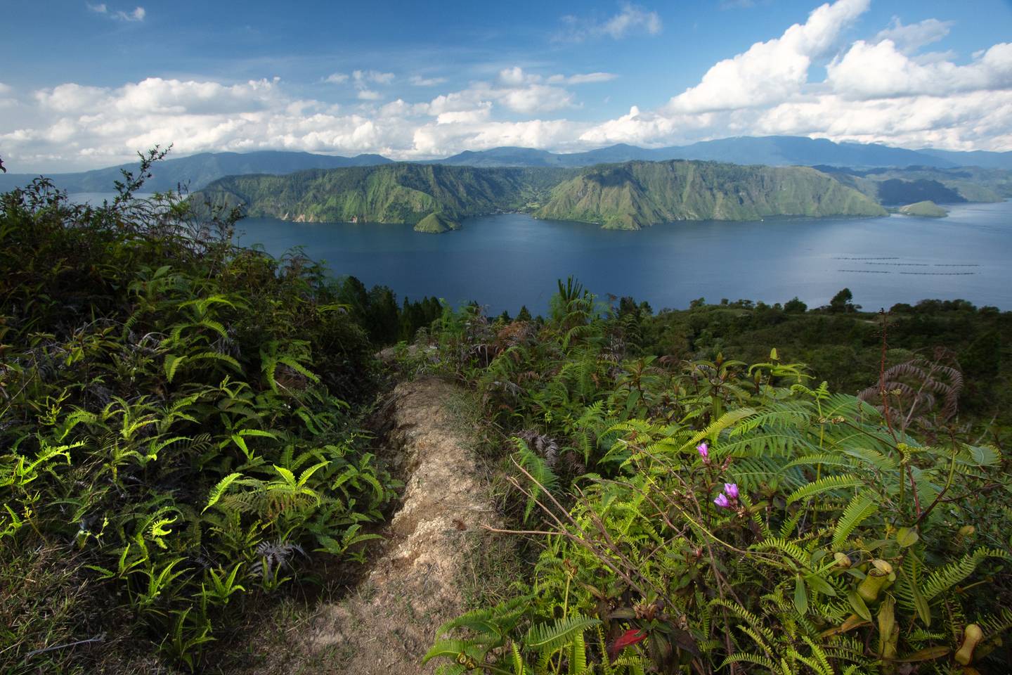 bltb74c2eb4c72eead1-indonesien-sumatra-toba-see-g-2162152634.jpg indonesien-sumatra-toba-see-g-2162152634.jpg