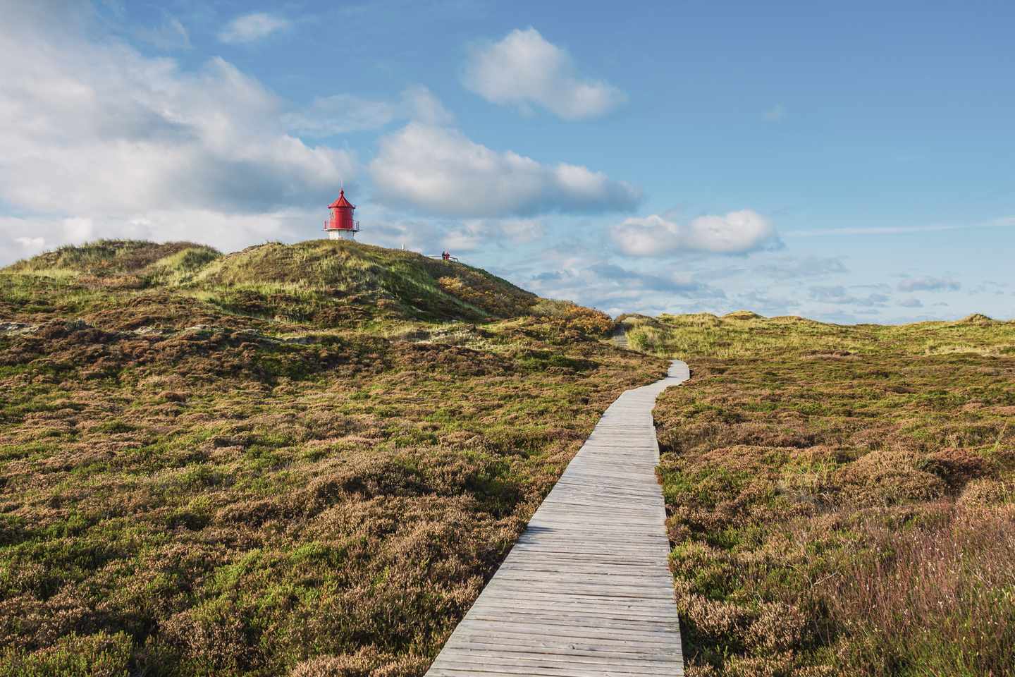 deutschland-nordsee-amrum-norddorf-weg-ueber-duenen-zum-leuchtturm-g-1280539350.jpg