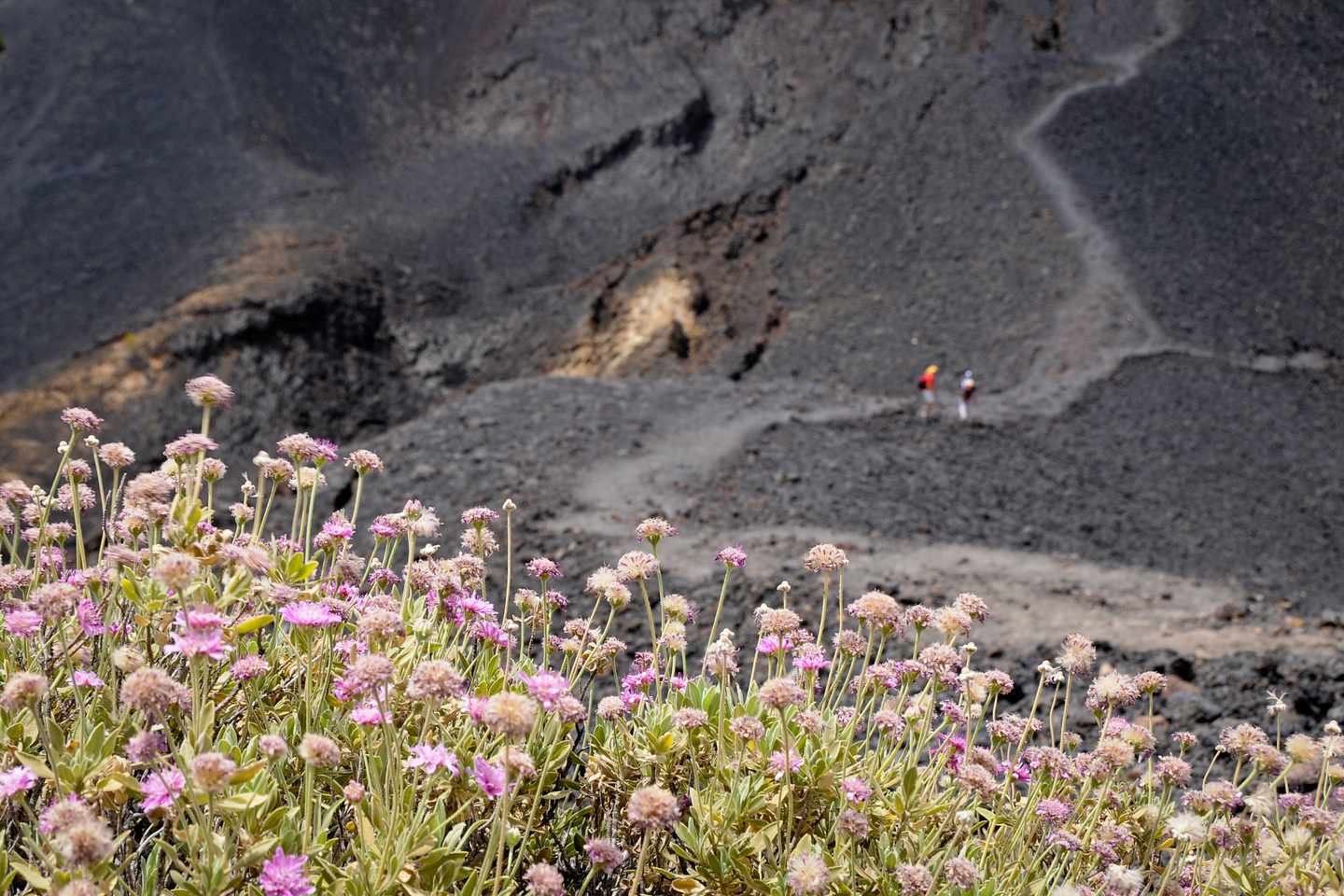 kanaren-la-palma-vulkan-lava-g1194300930.jpg