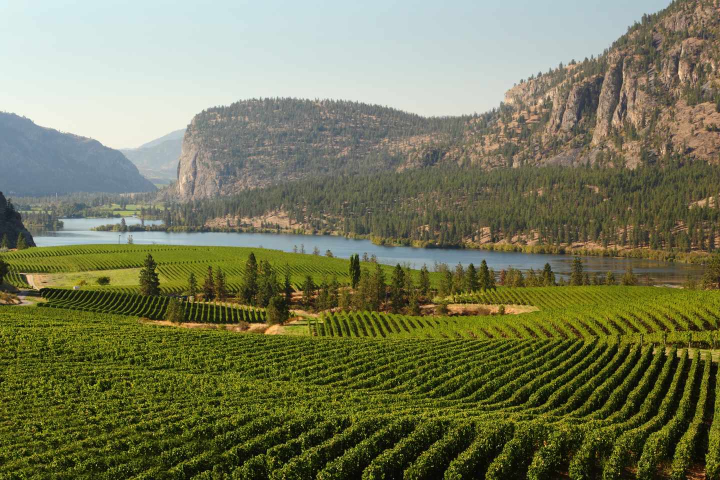 kanada-british-columbia-okanagan-valley-t-471472619.jpg