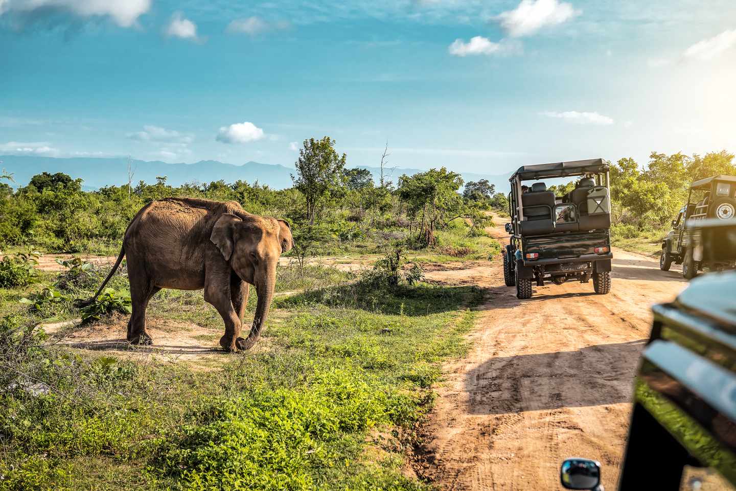 sri-lanka-yala-nationalpark-elefanten-safari-tour-g-2155402343.jpg