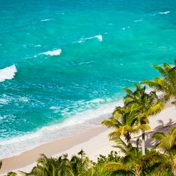 antigua-strand-meer-t-184595864.jpg