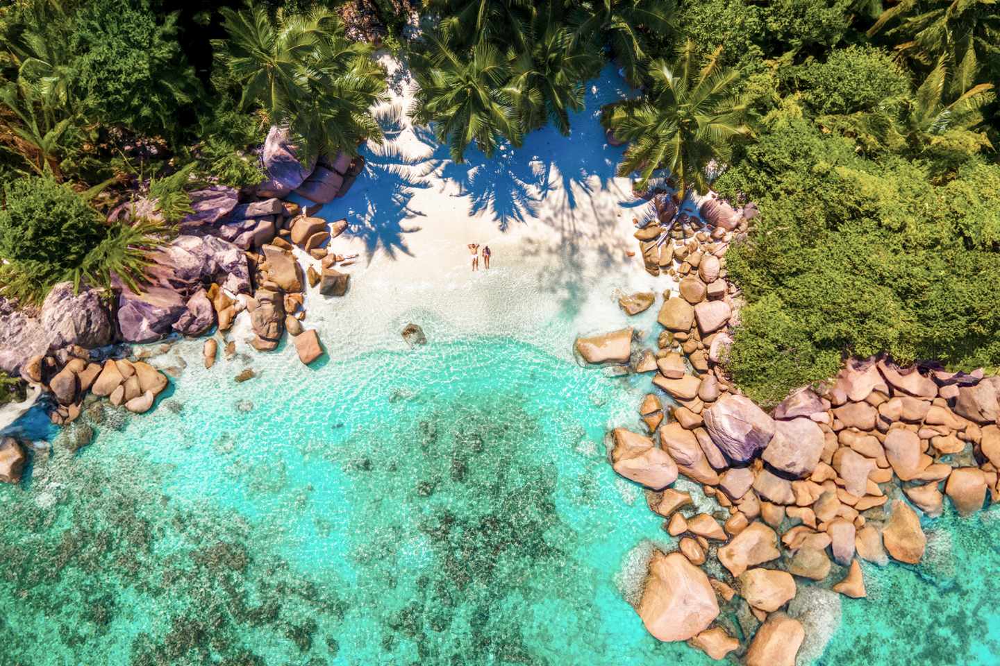 seychellen-mahe-paar-vorgelperspektive-g-1929813647.jpg