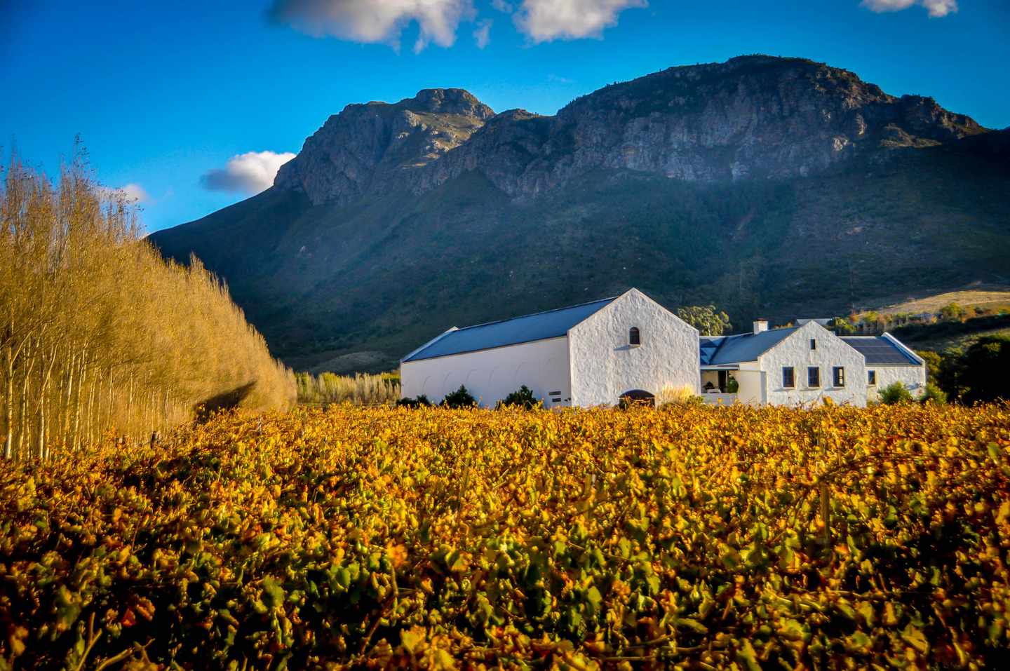 suedafrika-franschhoek-wein-farm-t-578300796.jpg