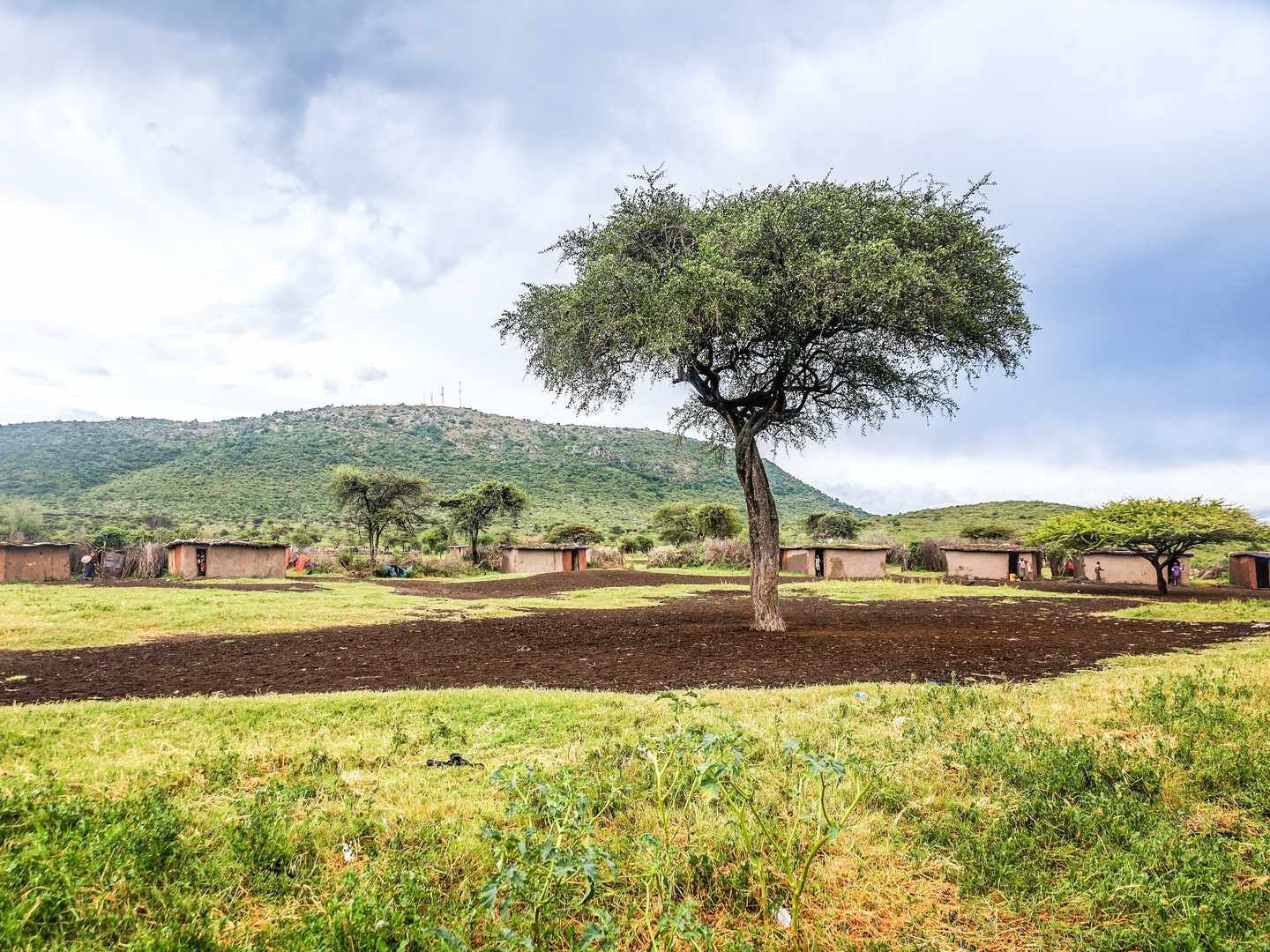 Traditionelles Dorf der Massai in der Masai Mara – authentisches Erlebnis auf einer Rundreise durch Kenia
