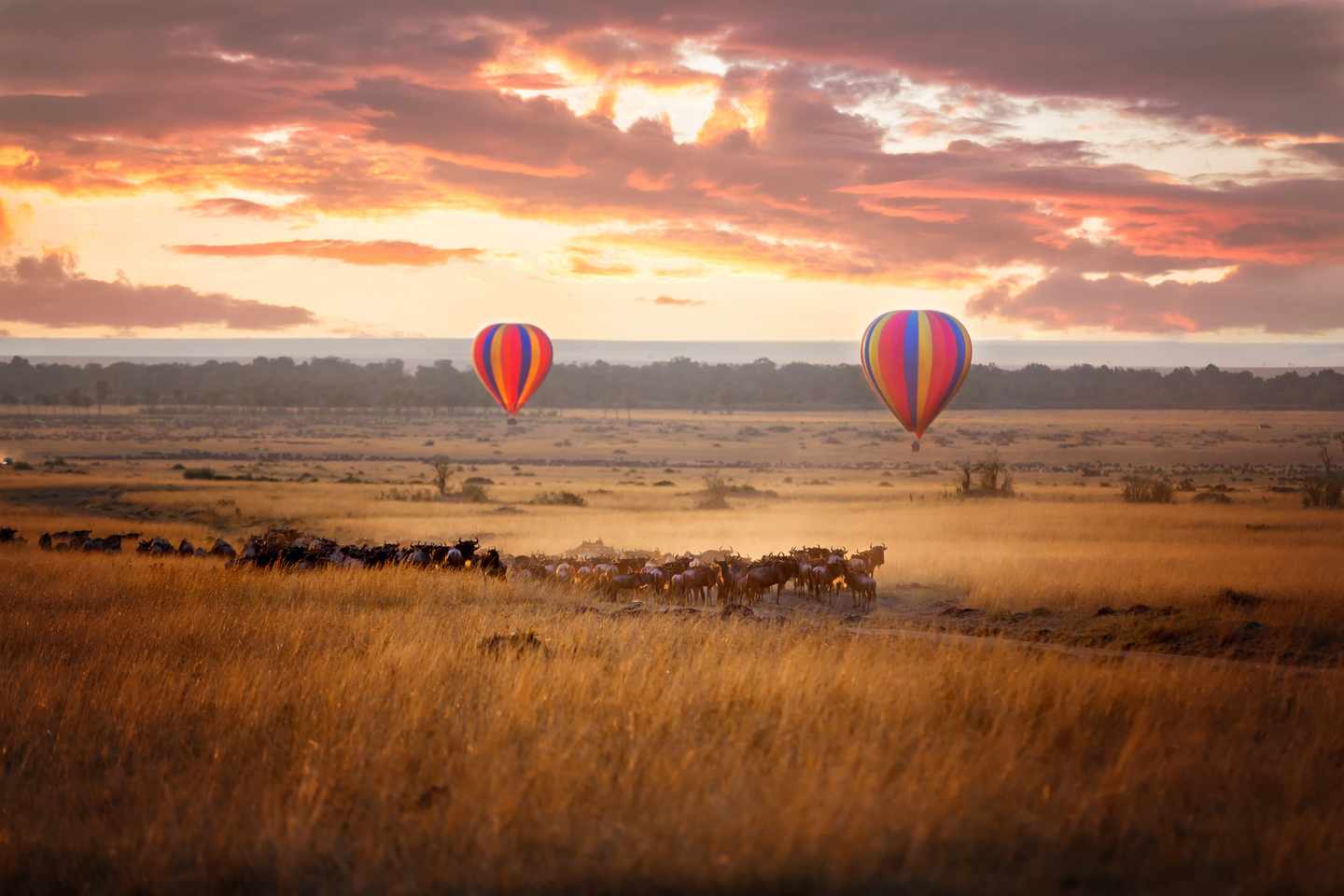kenia-masai-mara-gnu-heissluftballon-t-831386760.jpg
