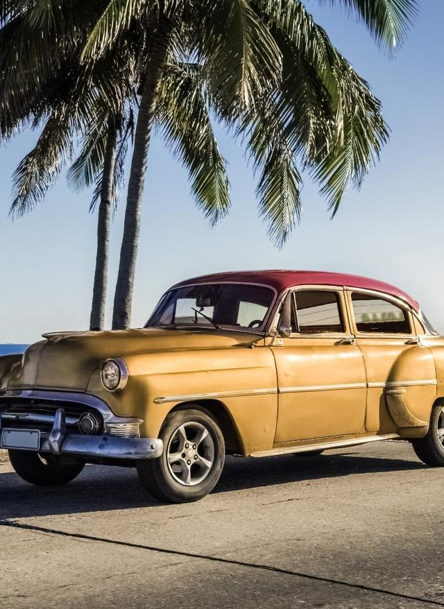 Oldtimer vor Palme in Havanna, Kuba