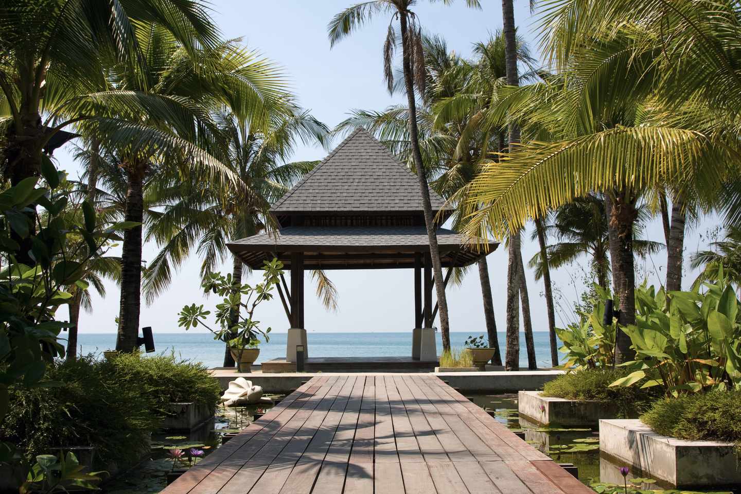 thailand-koh-chang-tropischer-strand-mit-palmen-und-huette-g-112149306_bearbeitet.jpg