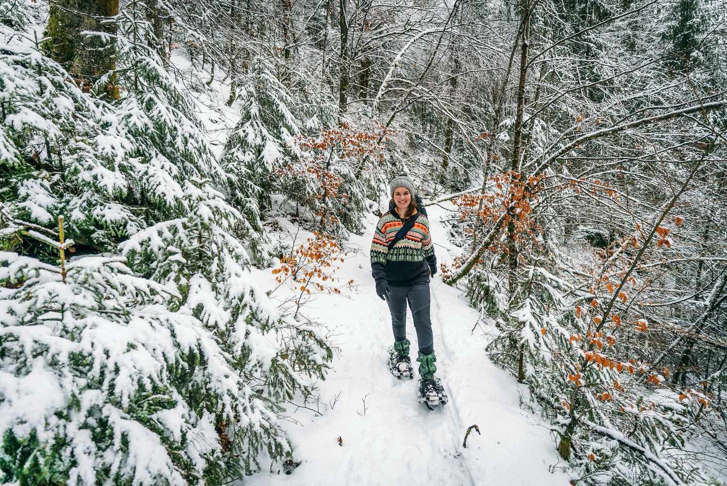 schneeschuhwandern-im-wald-g-1081488754.jpg