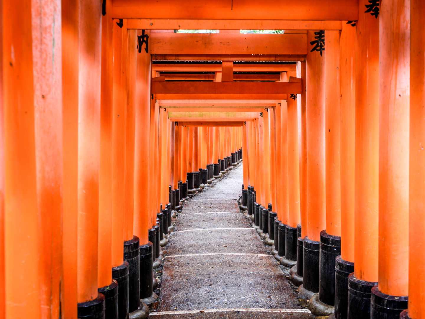 blt4decac1f5c311357-japan-kyoto-fushimi-inari-taisha-weg-durch-schrein-g-1092741050.jpg Weg durch rote Tore in einem Tempel in Kyoto
