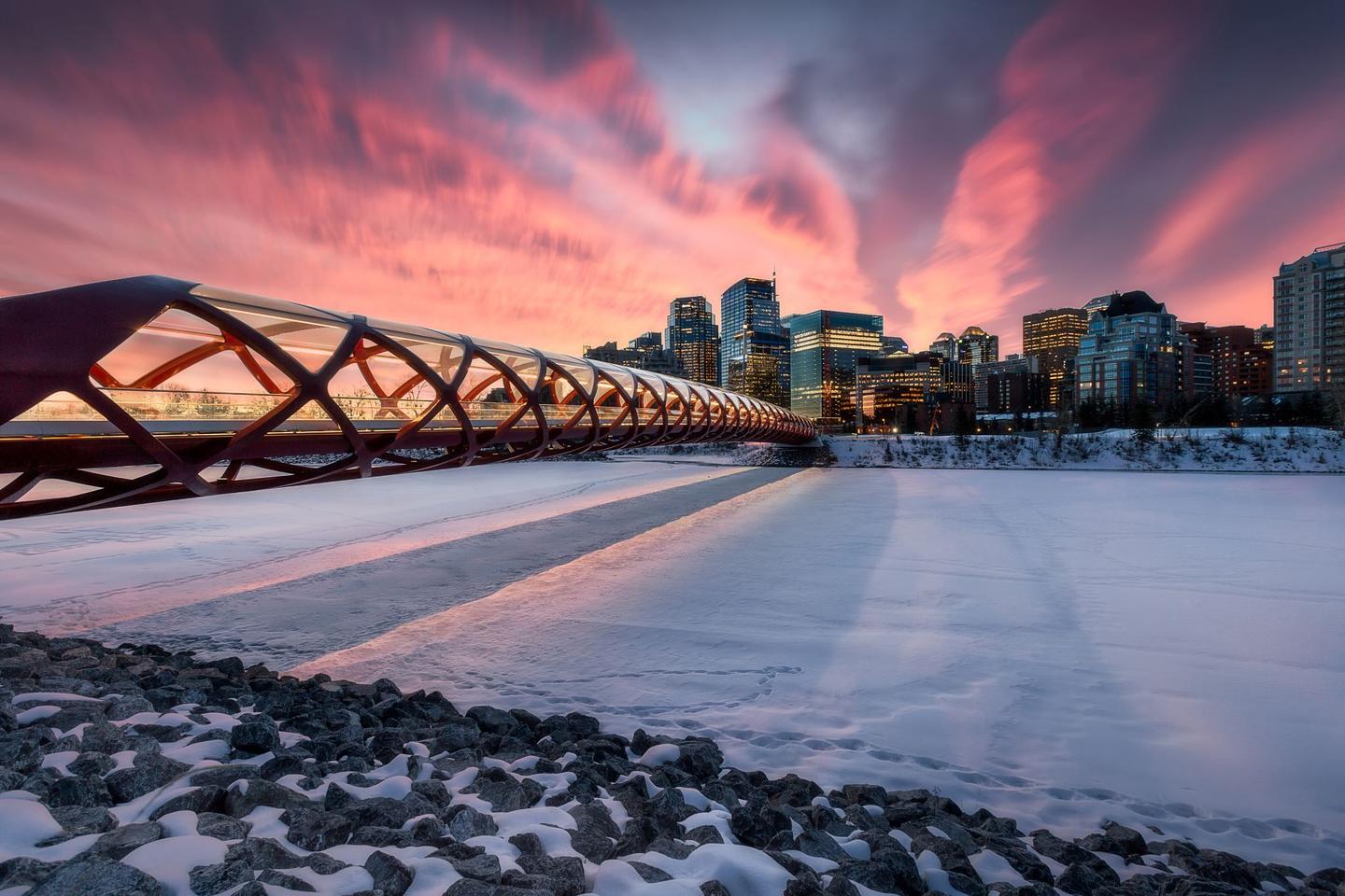 Peace Bridge in Calgary