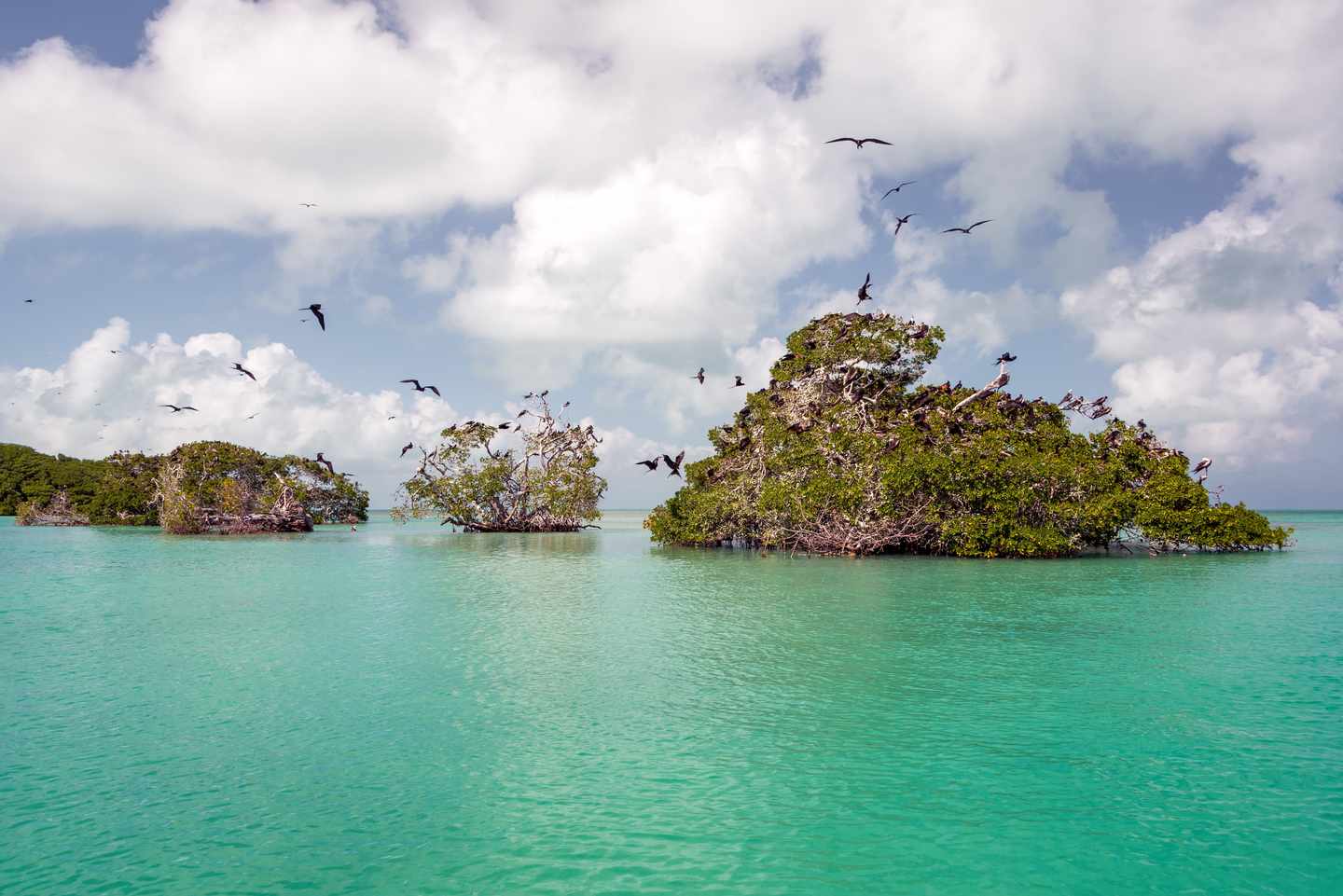 mexiko-tulum-naturschutzgebiet-sian-kaan-g-1150524919.jpg
