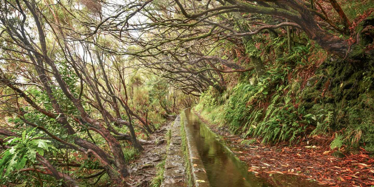 portugal-madeira-levada-wanderweg-ausruestung-sicherheit-waldpfad-g-2216510582.jpg