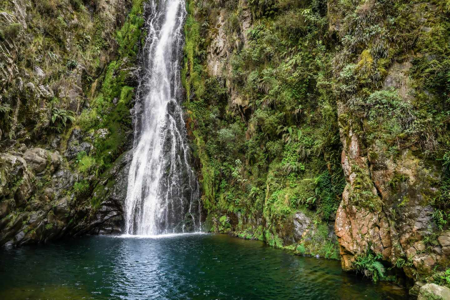 karibik-dominikanische-republik-salto-de-aguas-blancas-g-1380694326.jpg