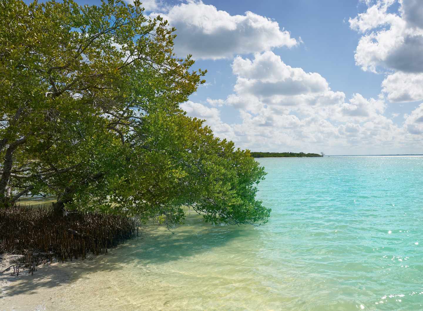 nordamerika-mexiko-holbox-g-913679132.jpg
